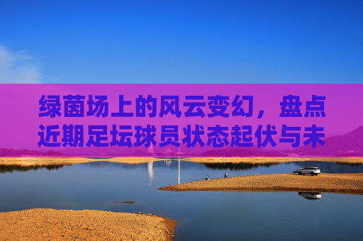 绿茵场上的风云变幻,盘点近期足坛球员状态起伏与未来展望