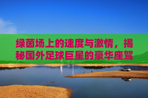 绿茵场上的速度与激情,揭秘国外足球巨星的豪华座驾