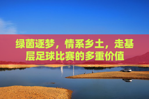 绿茵逐梦,情系乡土,走基层足球比赛的多重价值
