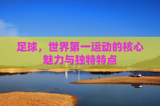 足球,世界第一运动的核心魅力与独特特点