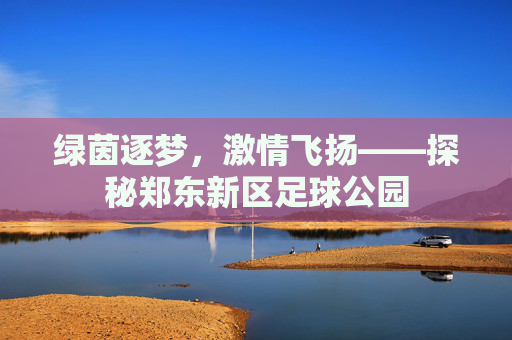 绿茵逐梦,激情飞扬——探秘郑东新区足球公园