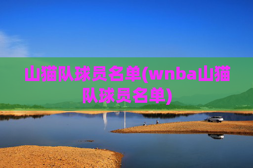 山猫队球员名单(wnba山猫队球员名单)