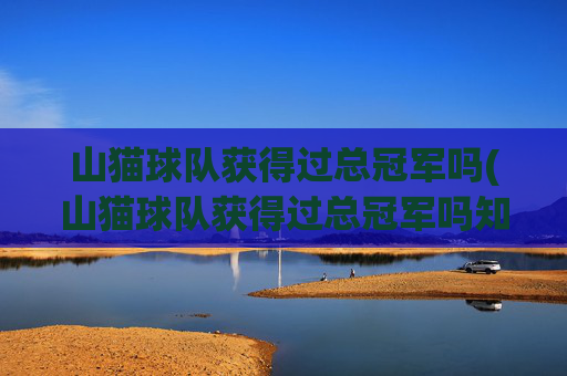 山猫球队获得过总冠军吗(山猫球队获得过总冠军吗知乎)