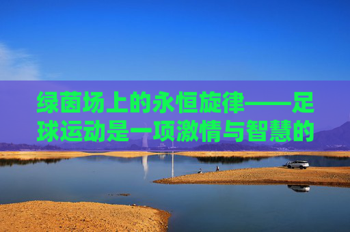 绿茵场上的永恒旋律——足球运动是一项激情与智慧的交响
