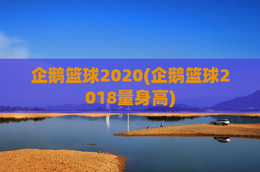 企鹅篮球2020(企鹅篮球2018量身高)