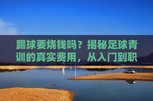 踢球要烧钱吗？揭秘足球青训的真实费用，从入门到职业，到底要交多少钱？