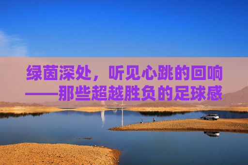 绿茵深处,听见心跳的回响——那些超越胜负的足球感人瞬间