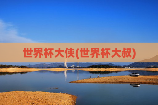 世界杯大侠(世界杯大叔)