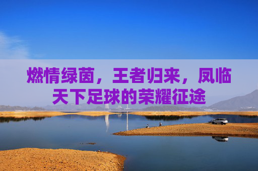 燃情绿茵,王者归来,凤临天下足球的荣耀征途