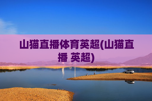 山猫直播体育英超(山猫直播 英超)