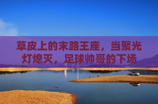 草皮上的末路王座,当聚光灯熄灭,足球帅哥的下场