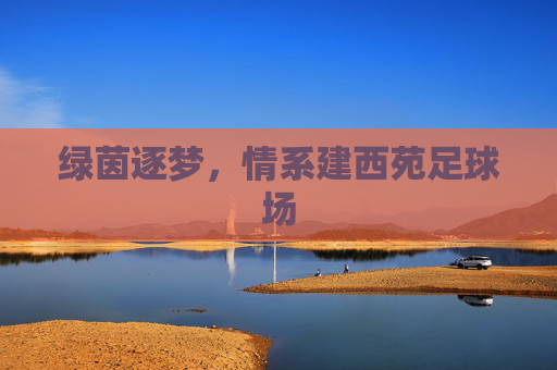 绿茵逐梦，情系建西苑足球场