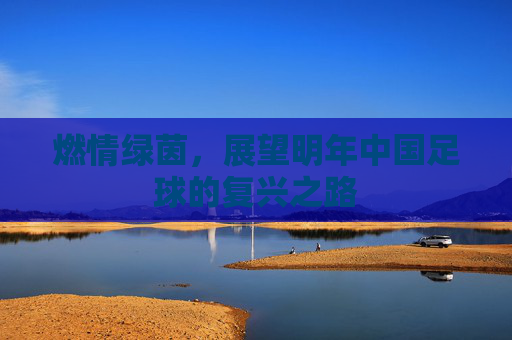 燃情绿茵,展望明年中国足球的复兴之路