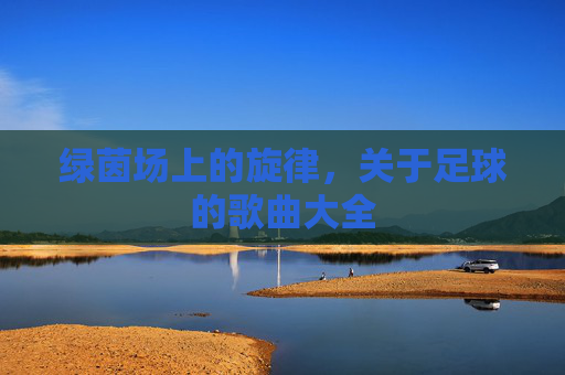 绿茵场上的旋律，关于足球的歌曲大全