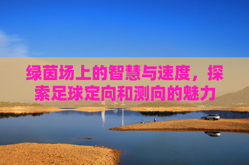 绿茵场上的智慧与速度,探索足球定向和测向的魅力