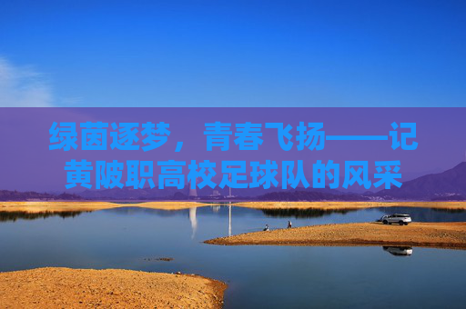 绿茵逐梦,青春飞扬——记黄陂职高校足球队的风采