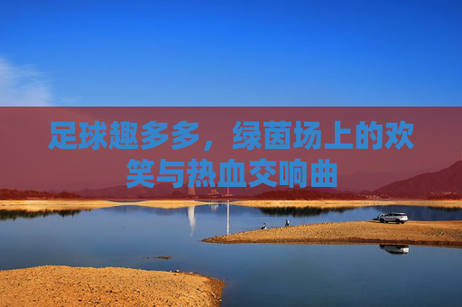 足球趣多多,绿茵场上的欢笑与热血交响曲