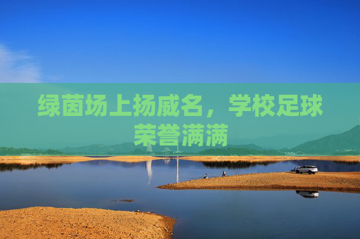 绿茵场上扬威名,学校足球荣誉满满