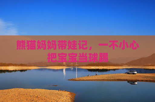 熊猫妈妈带娃记，一不小心把宝宝当球踢