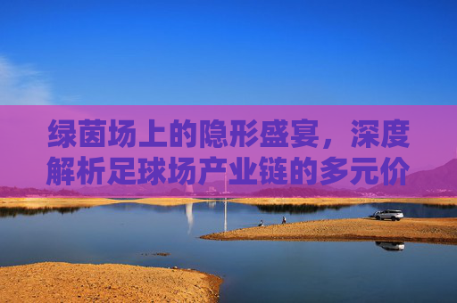 绿茵场上的隐形盛宴,深度解析足球场产业链的多元价值