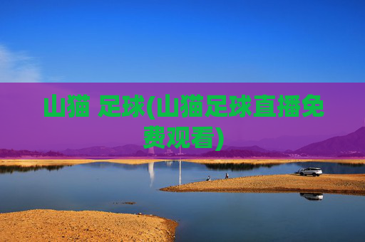 山猫 足球(山猫足球直播免费观看)