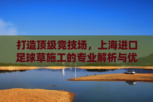 打造顶级竞技场,上海进口足球草施工的专业解析与优势