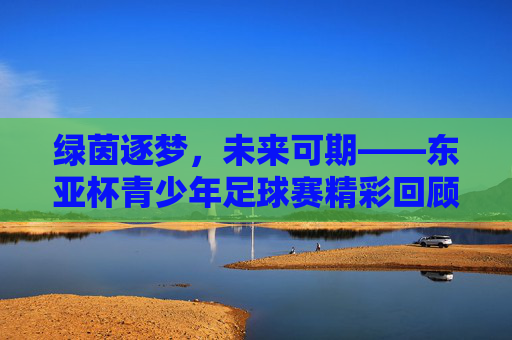 绿茵逐梦,未来可期——东亚杯青少年足球赛精彩回顾