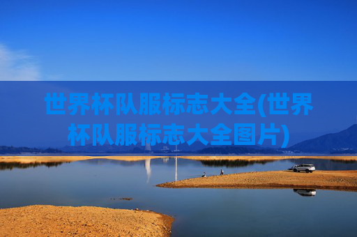 世界杯队服标志大全(世界杯队服标志大全图片)