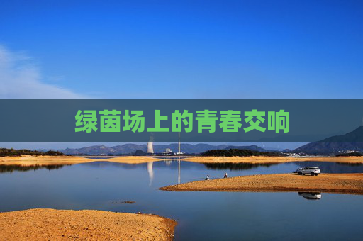 绿茵场上的青春交响