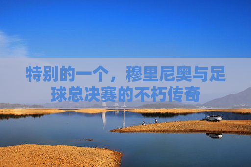 特别的一个，穆里尼奥与足球总决赛的不朽传奇