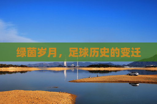 绿茵岁月,足球历史的变迁