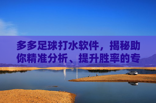 多多足球打水软件，揭秘助你精准分析、提升胜率的专业利器