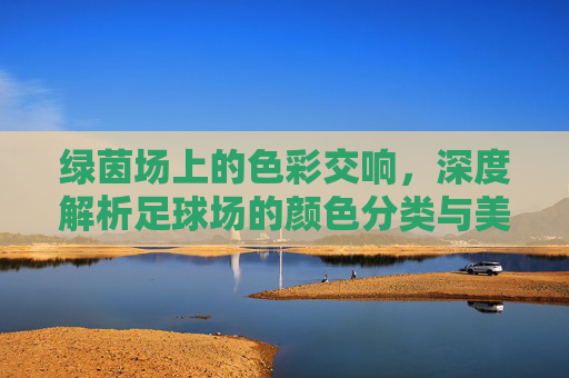 绿茵场上的色彩交响,深度解析足球场的颜色分类与美学