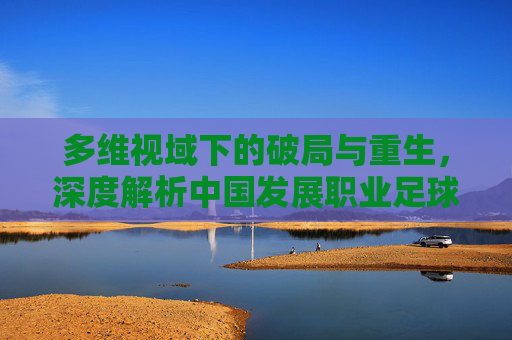 多维视域下的破局与重生,深度解析中国发展职业足球的深层目的