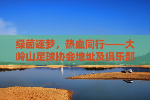 绿茵逐梦,热血同行——大岭山足球协会地址及俱乐部全攻略