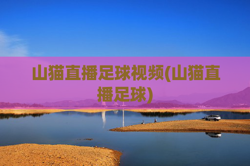 山猫直播足球视频(山猫直播足球)
