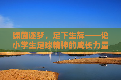 绿茵逐梦,足下生辉——论小学生足球精神的成长力量