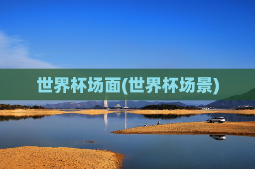 世界杯场面(世界杯场景)