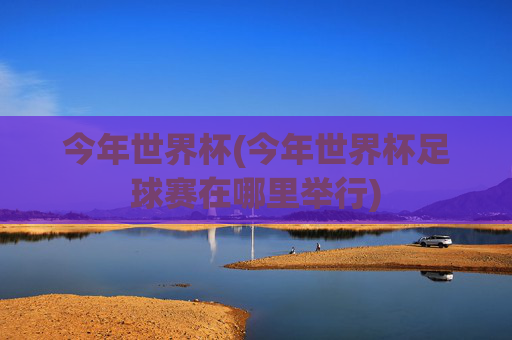今年世界杯(今年世界杯足球赛在哪里举行)