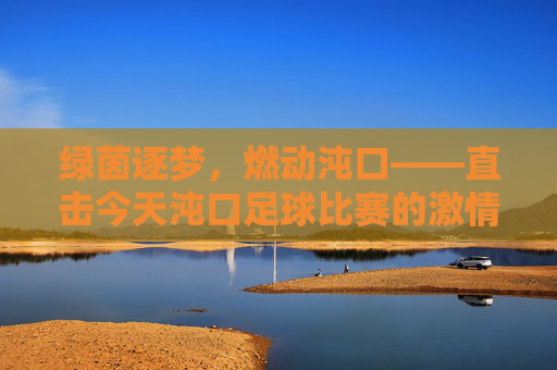 绿茵逐梦,燃动沌口——直击今天沌口足球比赛的激情时刻