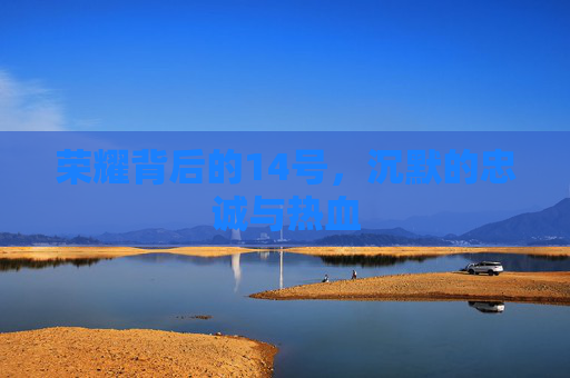 荣耀背后的14号,沉默的忠诚与热血