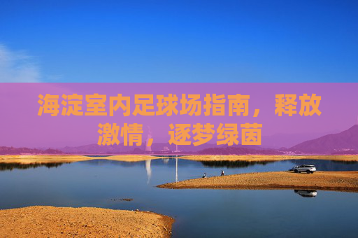 海淀室内足球场指南,释放激情,逐梦绿茵