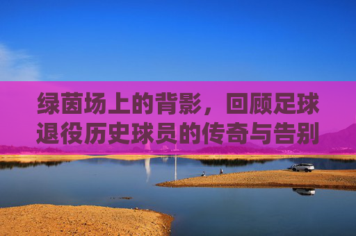 绿茵场上的背影,回顾足球退役历史球员的传奇与告别