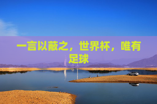 一言以蔽之,世界杯,唯有足球