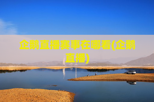 企鹅直播赛事在哪看(企鹅直播)
