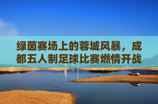 绿茵赛场上的蓉城风暴,成都五人制足球比赛燃情开战