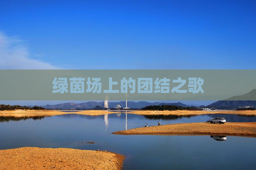 绿茵场上的团结之歌