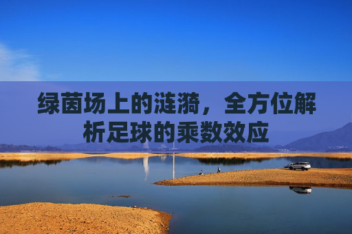 绿茵场上的涟漪,全方位解析足球的乘数效应