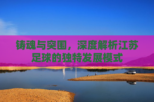 铸魂与突围,深度解析江苏足球的独特发展模式