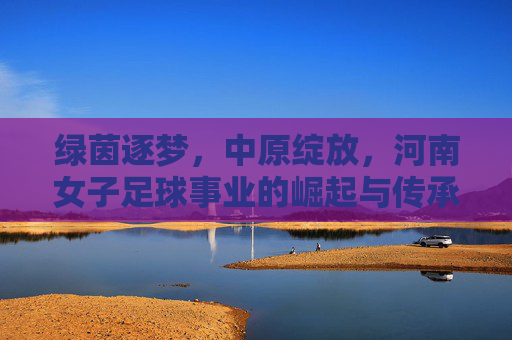 绿茵逐梦,中原绽放,河南女子足球事业的崛起与传承